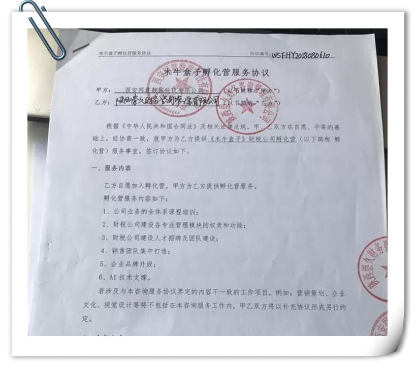 开营在即，财税公司孵化营再添新成员